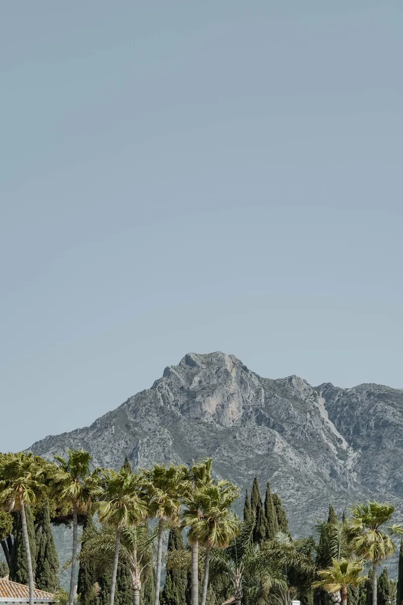 La Concha above the palms of Marbella